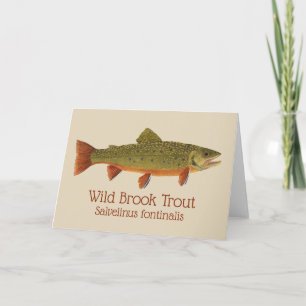 Brook Trout Greetings Card