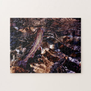 Brook Trout in River Water Jigsaw Puzzle