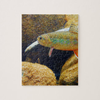 Brook Trout Jigsaw Puzzle