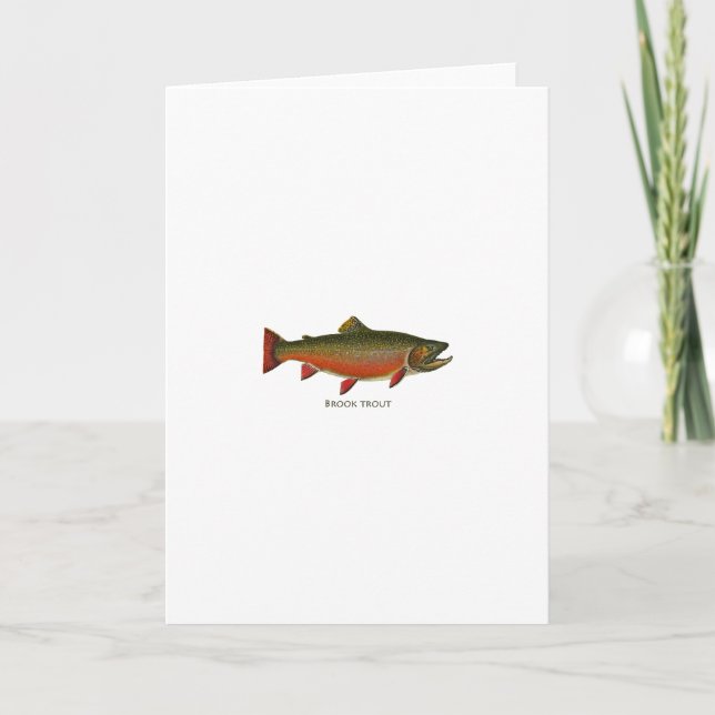 Brook Trout Male (Spawning Phase) Card (Front)
