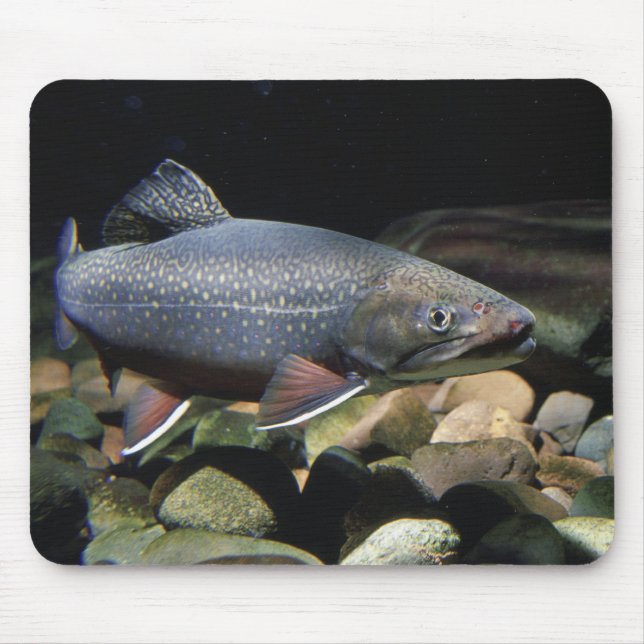 Brook Trout - Mouse Pad (Front)