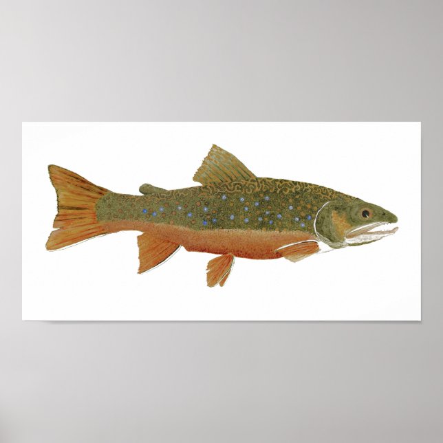Brook Trout Poster (Front)