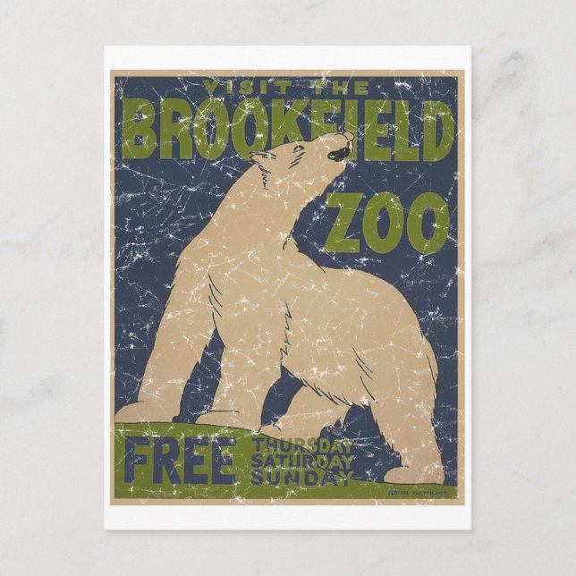 Brookfield Zoo-Polar Bear-distressed Postcard (Front)
