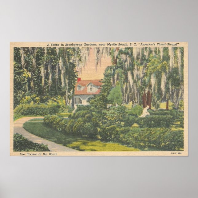Brookgreen Gardens, Myrtle Beach, SC Postcard Poster (Front)