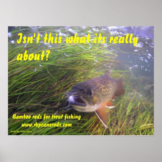 Brookie Poster (Front)