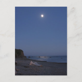 Brookings Harbour, Oregon Postcard