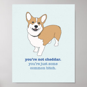 Brooklyn 99 Cheddar  Poster