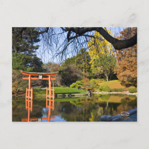 Brooklyn New York Botanic Garden Fall Postcard