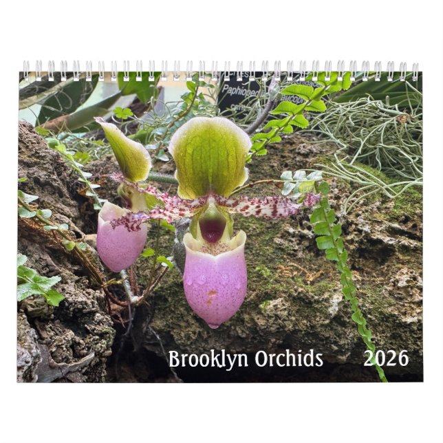 Brooklyn Orchids 2026 Calendar (Cover)
