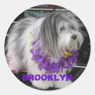 BROOKLYN PURPLE HAWAII STICKERS