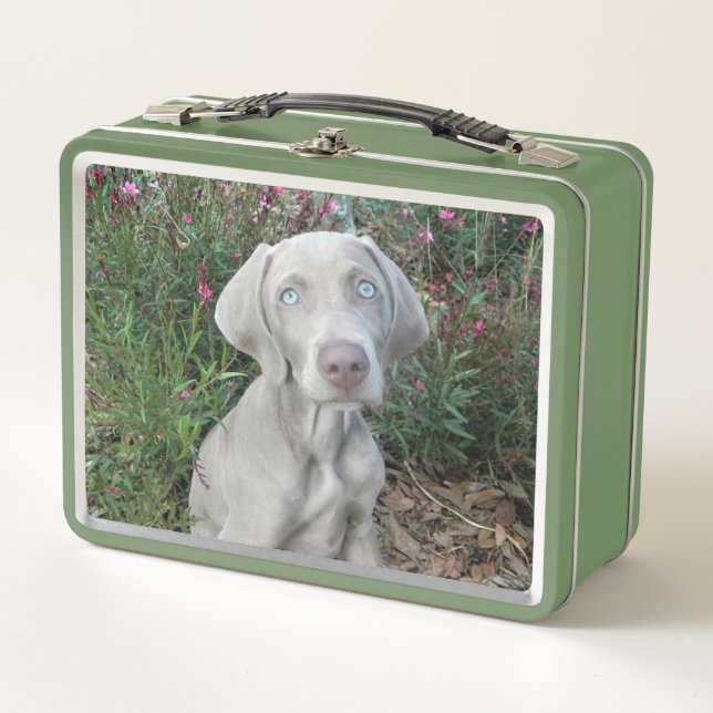 Brooklyn the Weimaraner Dog Metal Lunch Box (Front)