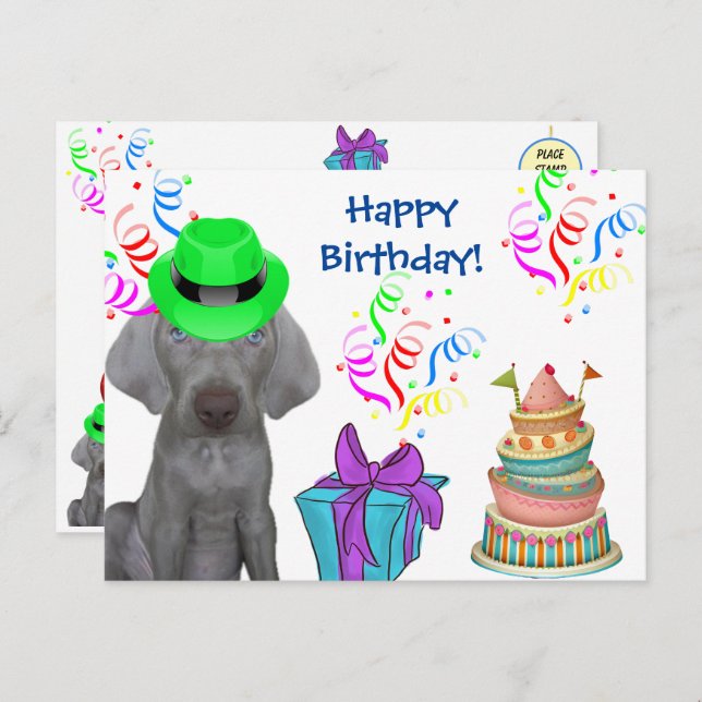 Brooklyn the Weimaraner's Birthday  Holiday Postcard (Front/Back)