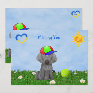 Brooklyn the Weimaraner's Greeting Flat Card 