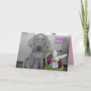Brooklyn's Easter - Weimaraner Dog / Puppy Card