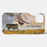 Brooks Range Caribou