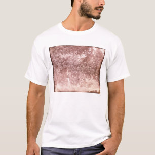 Broom and Spade, 1842 (b/w photo) T-Shirt