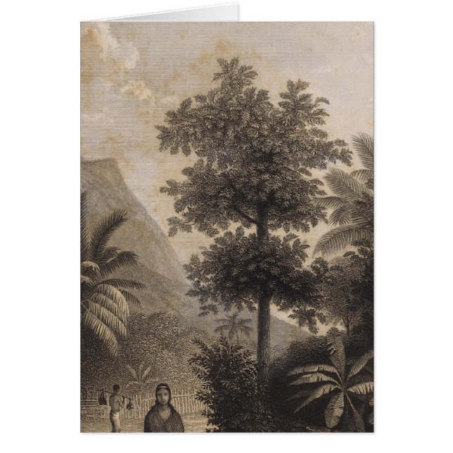 Broom Road, Tahiti (Front)