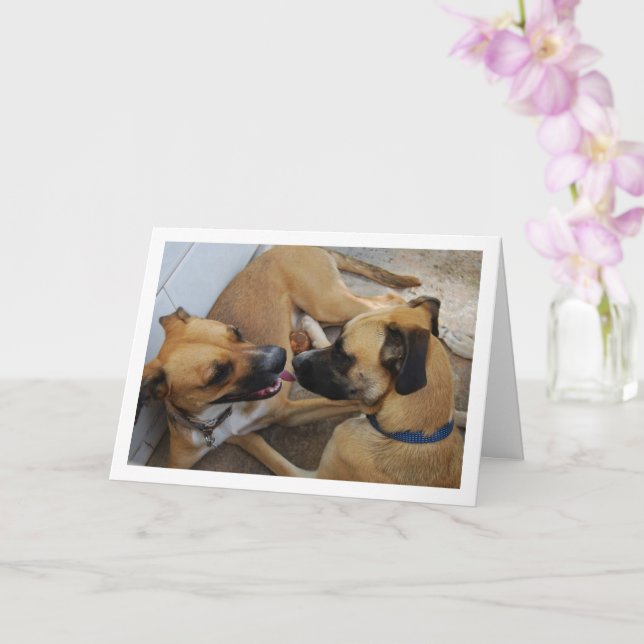 Brother and Sister, Dog Portrait Card (Orchid)