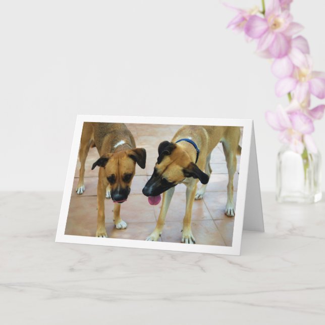 Brother and Sister, Dog Portrait Card (Orchid)