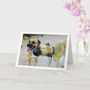 Brother and Sister, Dog Portrait Card
