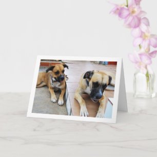 Brother and Sister, Dog Portrait Card