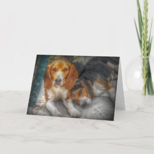 Brother Beagles Card