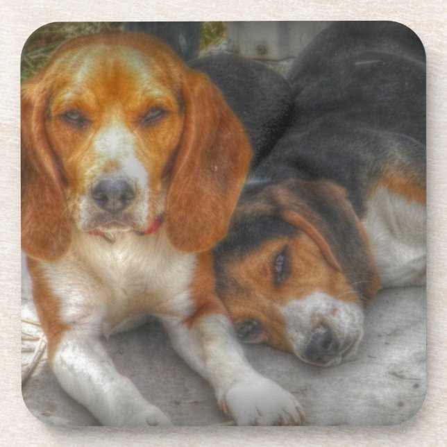 Brother Beagles Coaster (Front)
