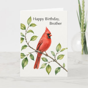 Brother Birthday Red Cardinal on Branch Card