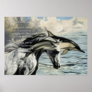 Brother Earth, Sister Sea Poster
