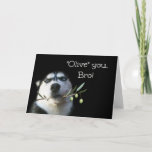 Brother Happy Birthday Card Funny<br><div class="desc">This is a cute Happy Birthday card for your brother.  A beautiful Husky holding an olive branch.  Tell your Bro,  "Olive" (I love) you on his birthday!</div>