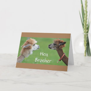 BROTHER HUMOR FOR MY FAV *SISTER'S* BIRTHDAY! CARD