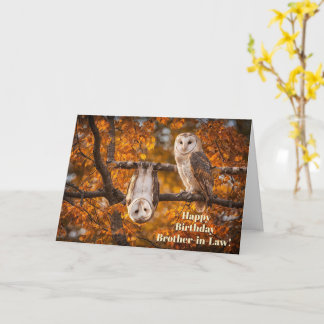 Brother in Law Happy Birthday Funny with Two Owls Card