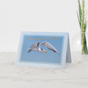 Brother-in-law's Birthday with Royal Tern Bird Card