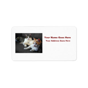 Brother & Sister Kitties Label