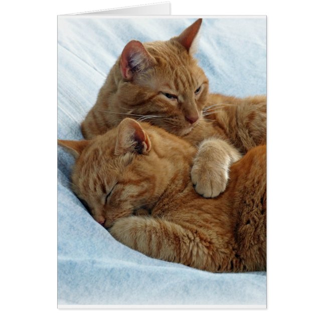 Brotherly Love (Front)