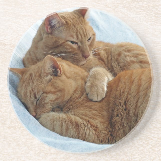 Brotherly Love Coaster (Front)