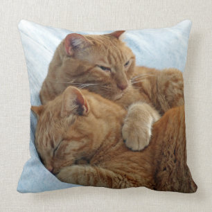 Brotherly Love Pillow