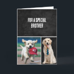 Brother's Birthday With Golden Retrievers Card<br><div class="desc">Black leather with text and cute golden retriever dogs for a birthday.
All text is editable.</div>