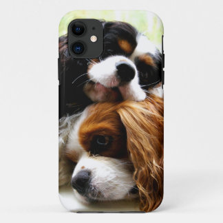 Brothers Cavaliers iPhone 5/5S Case