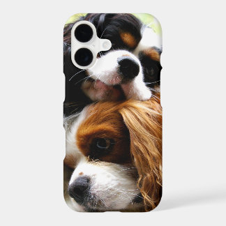 Brothers Cavaliers iPhone 7 Case