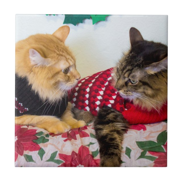 Brothers Ceramic Tile (Front)