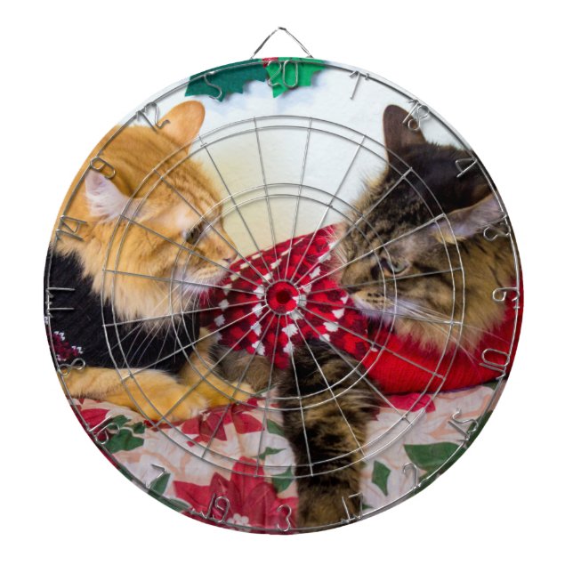 Brothers Dartboard (Front)