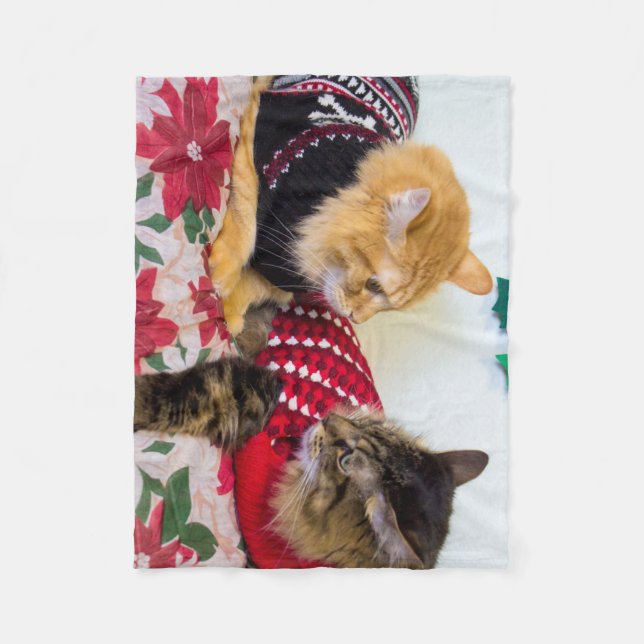Brothers Fleece Blanket (Front)