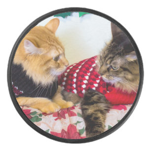 Brothers Hockey Puck