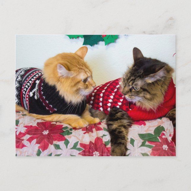 Brothers Postcard (Front)