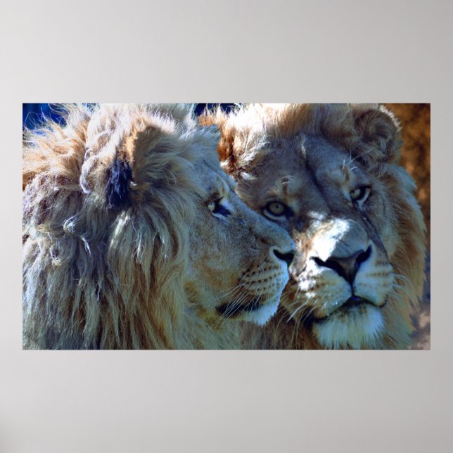 Brothers Poster (Front)