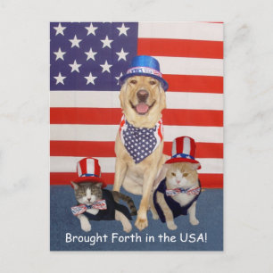 Brought Forth in the USA! Postcard