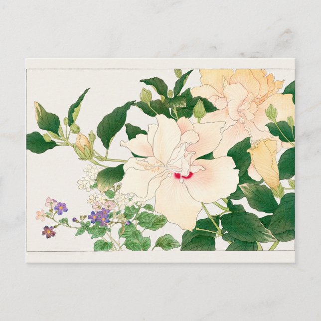 Browallia, Hibiscus by Tanigami Konan Postcard (Front)