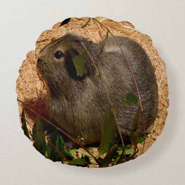 Brown Adorable Guinea Pig, Round Cushion (Front)