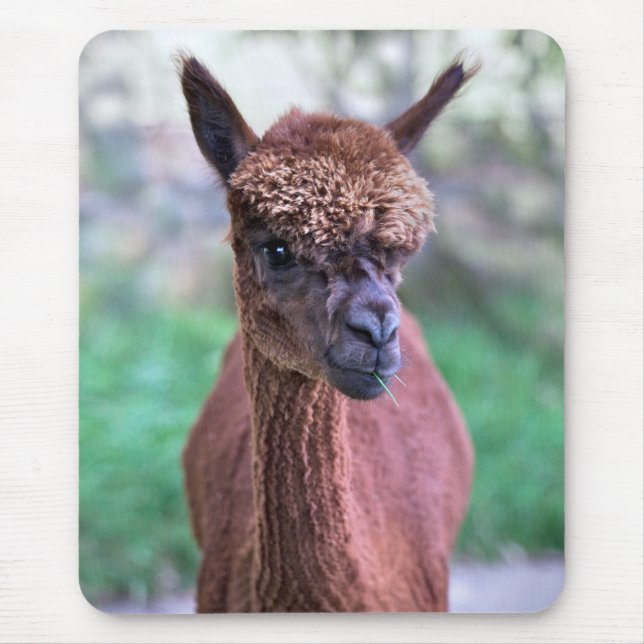 Brown Alpaca Mousemat (Front)